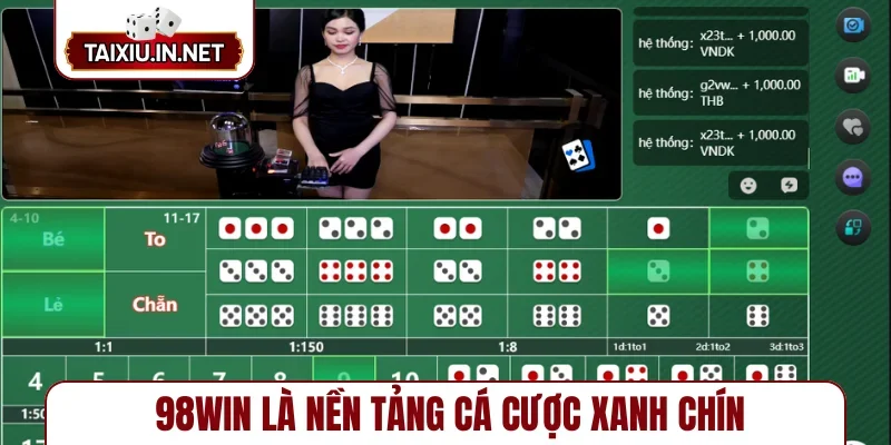 98Win là nền tảng cá cược xanh chín