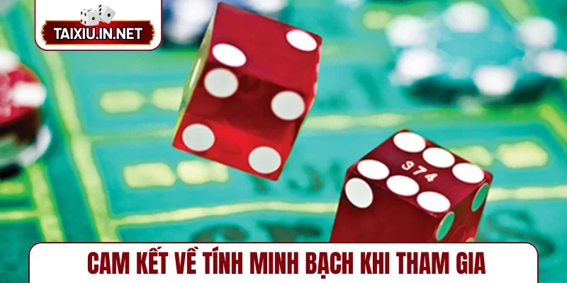 Cam kết về tính minh bạch khi tham gia