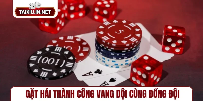 Gặt hái thành công vang dội cùng đồng đội