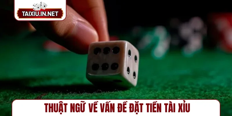 Thuật ngữ về vấn đề đặt tiền tài xỉu